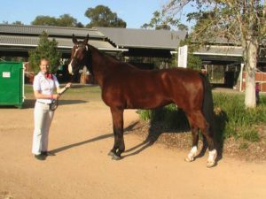 Rochelle & Jaybee Archer ~ Trot up